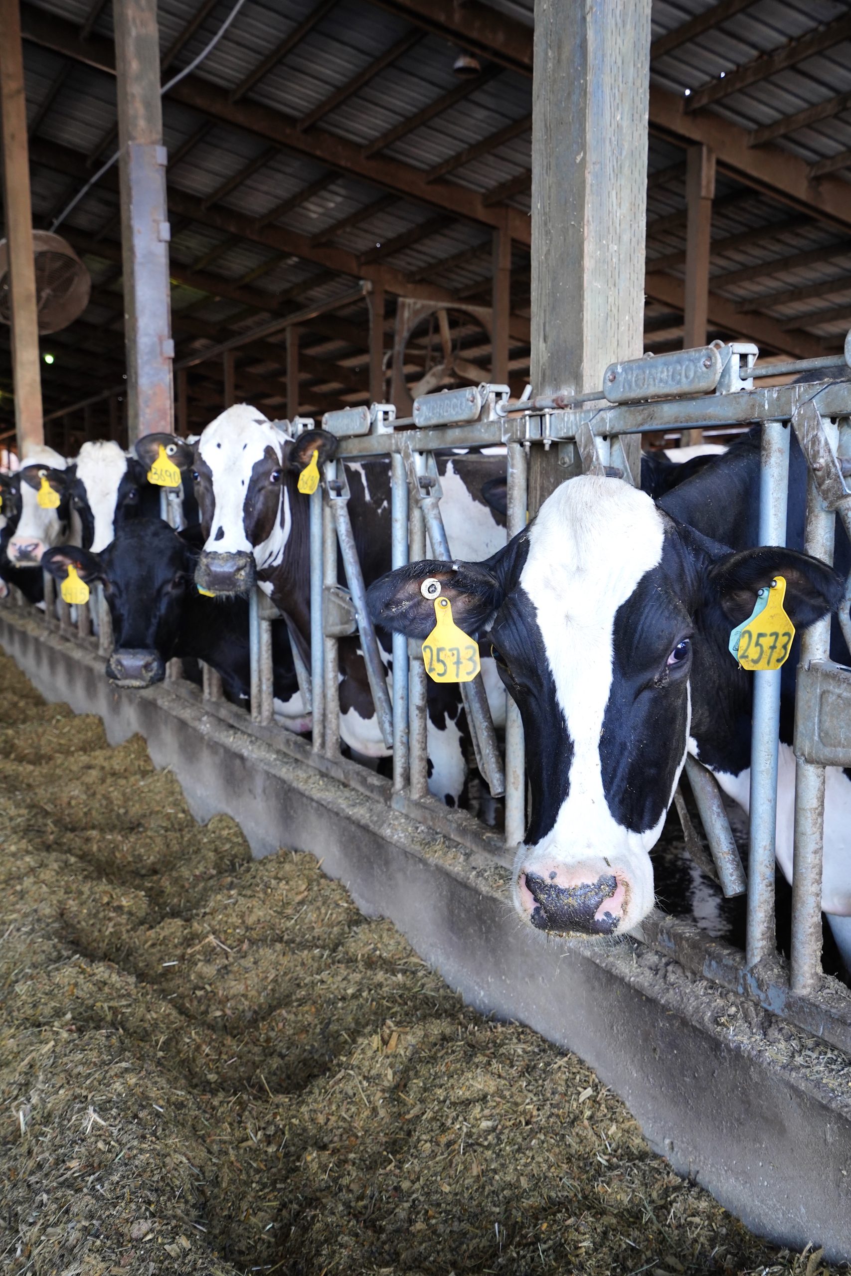 Our Farms - Oregon Dairy Council