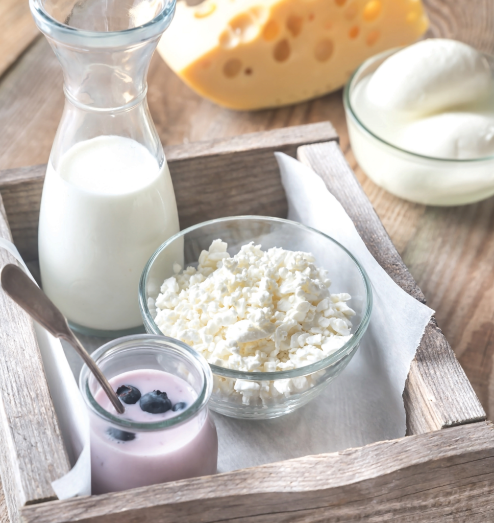 State of the Science: Dairy Foods and Health